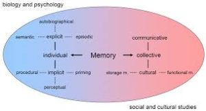 How Memory Works: The Science Behind It