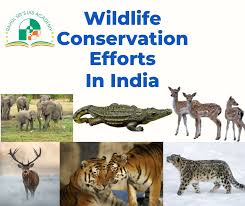 The Role of Conservation Efforts in Protecting Wildlife